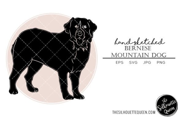 Bernese Mountain Dog Sketch