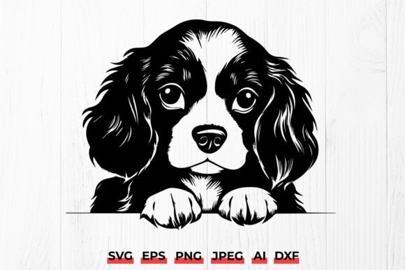 Cute Cavalier King Charles Peeking Dog