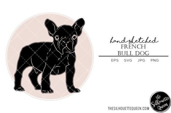 French Bull Dog Sketch