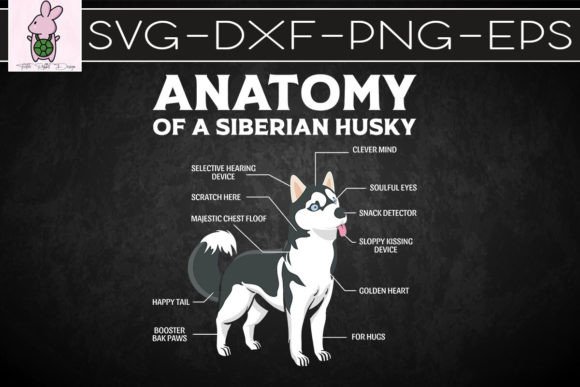Funny Anatomy Husky Dog Lover Gift