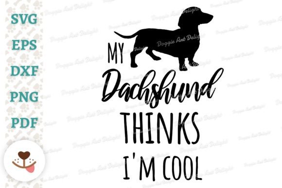 My Dachshund Thinks I’m Cool