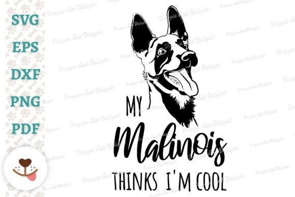 My Malinois Thinks I’m Cool