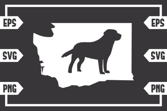 Washington Dog